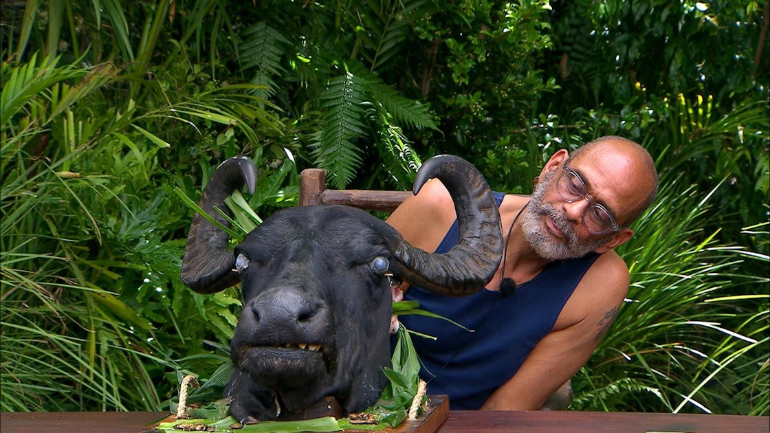 Dschungelcamp 2025: Pierre Sanoussi-Bliss überrascht als Zweitplatzierter!