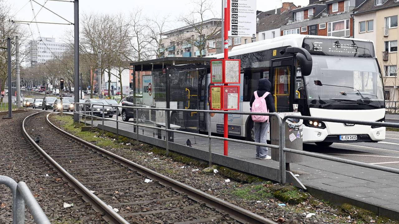 Bus steht an einer Haltestelle in Köln.