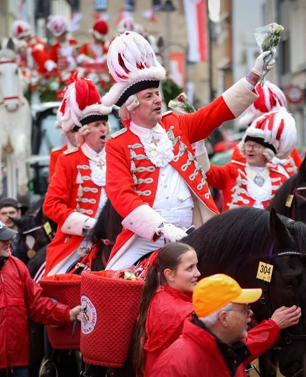 Rosenmontagszug an der Severinsstraße.
Pferde auf dem Rosenmontagszug.