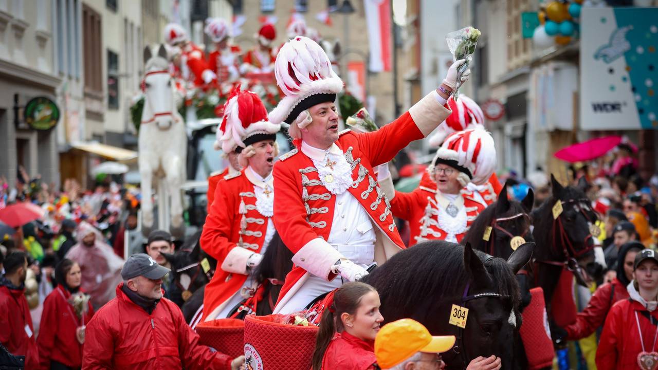 Rosenmontagszug an der Severinsstraße.
Pferde auf dem Rosenmontagszug.