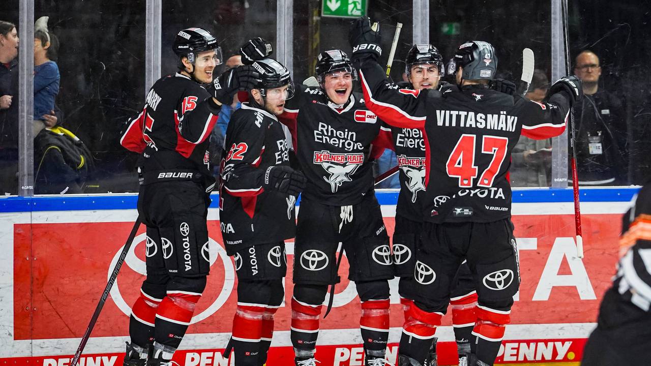 Die Profis der Kölner Haie jubeln gemeinsam.