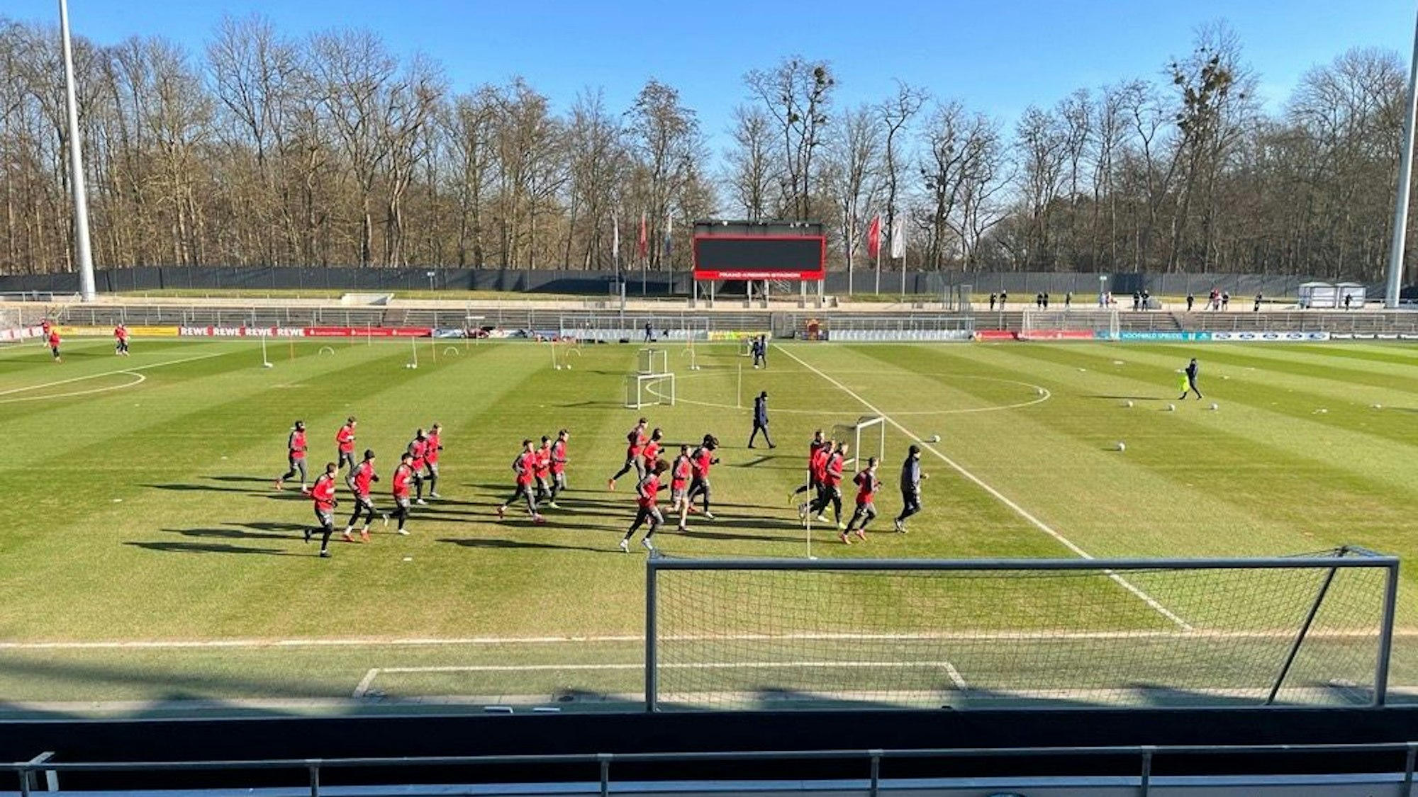 Die Profis des 1. FC Köln beim Lauftraining.