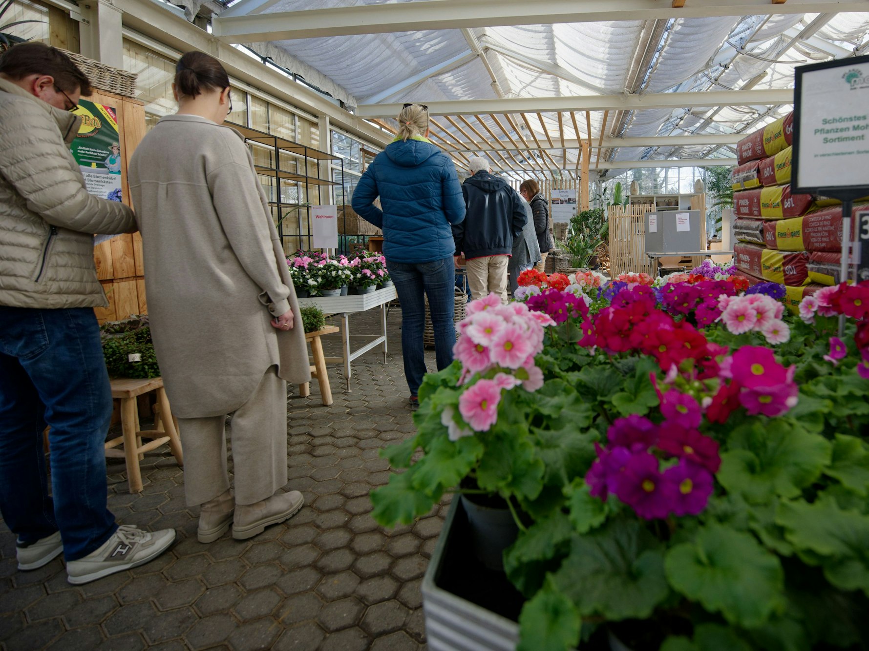 Wählen mal anders: Wahlberechtigte in Köln stehen zur Stimmabgabe in einem Gewächshaus eines Gartenbaubetriebs im Stadtteil Hahnwald.