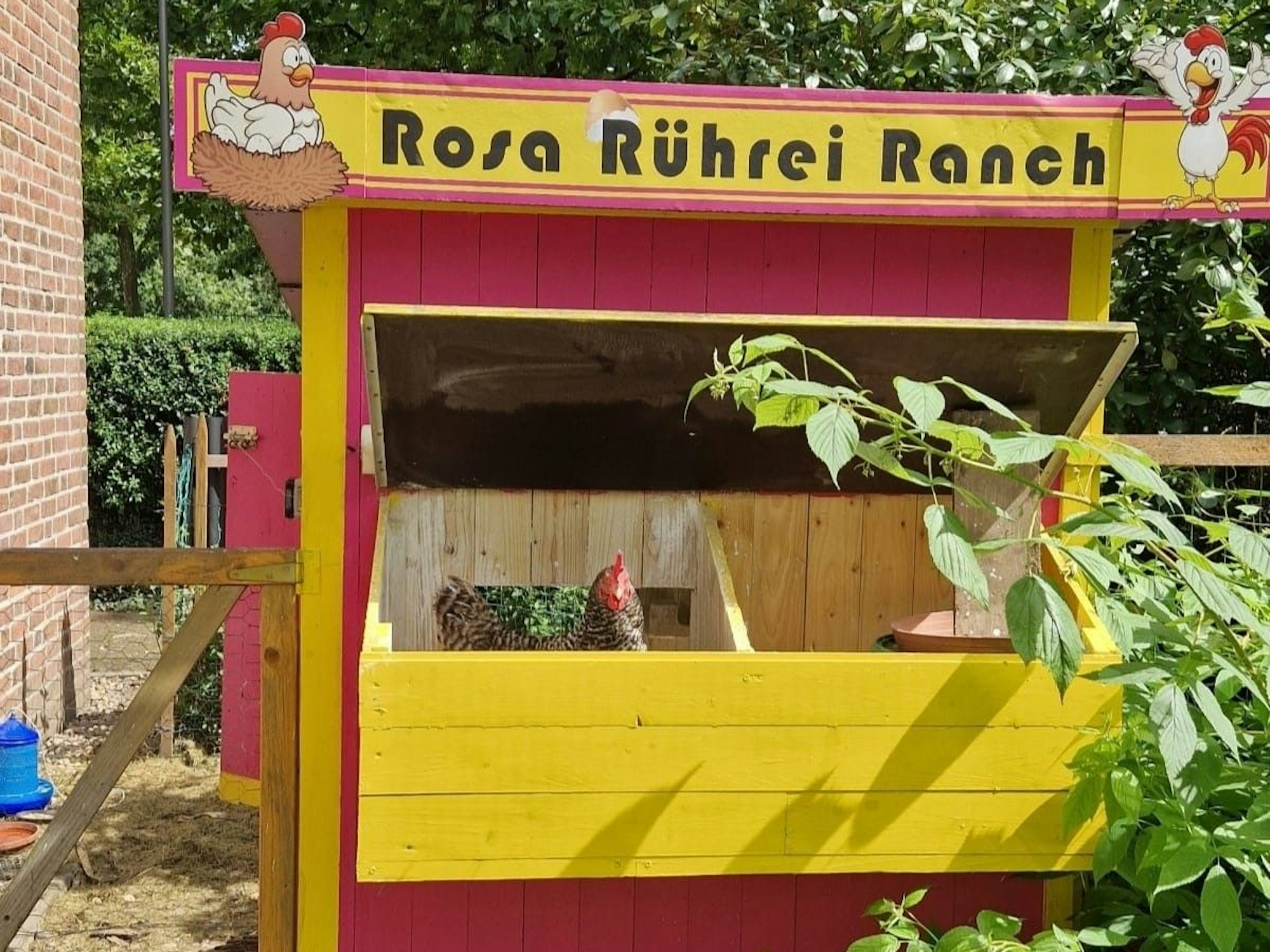 Die „Rosa Rührei Ranch“ im Garten von Hendrik Ermen.