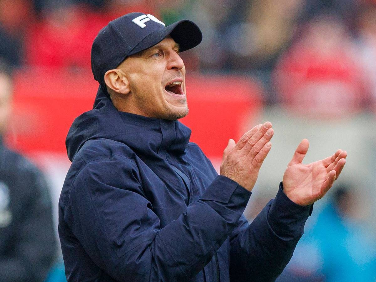 Gerhard Struber klatscht bei einem Spiel des 1. FC Köln.