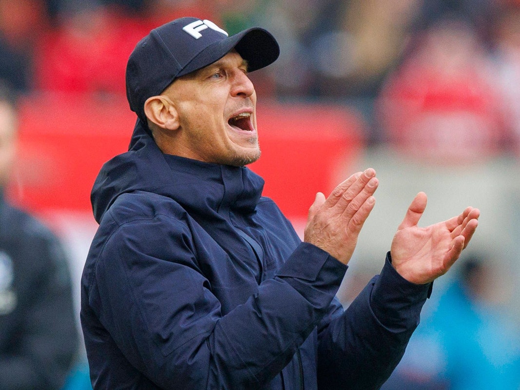 Gerhard Struber klatscht bei einem Spiel des 1. FC Köln.