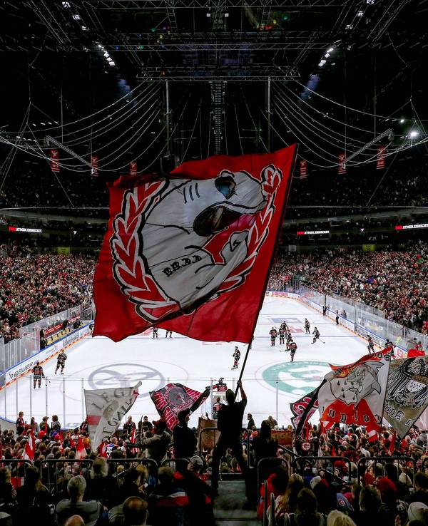 Die Fans der Kölner Haie schwenken Fahnen.