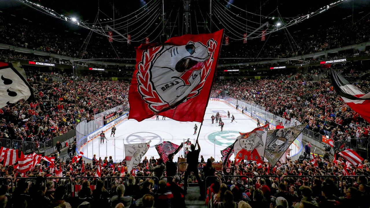 Die Fans der Kölner Haie schwenken Fahnen.