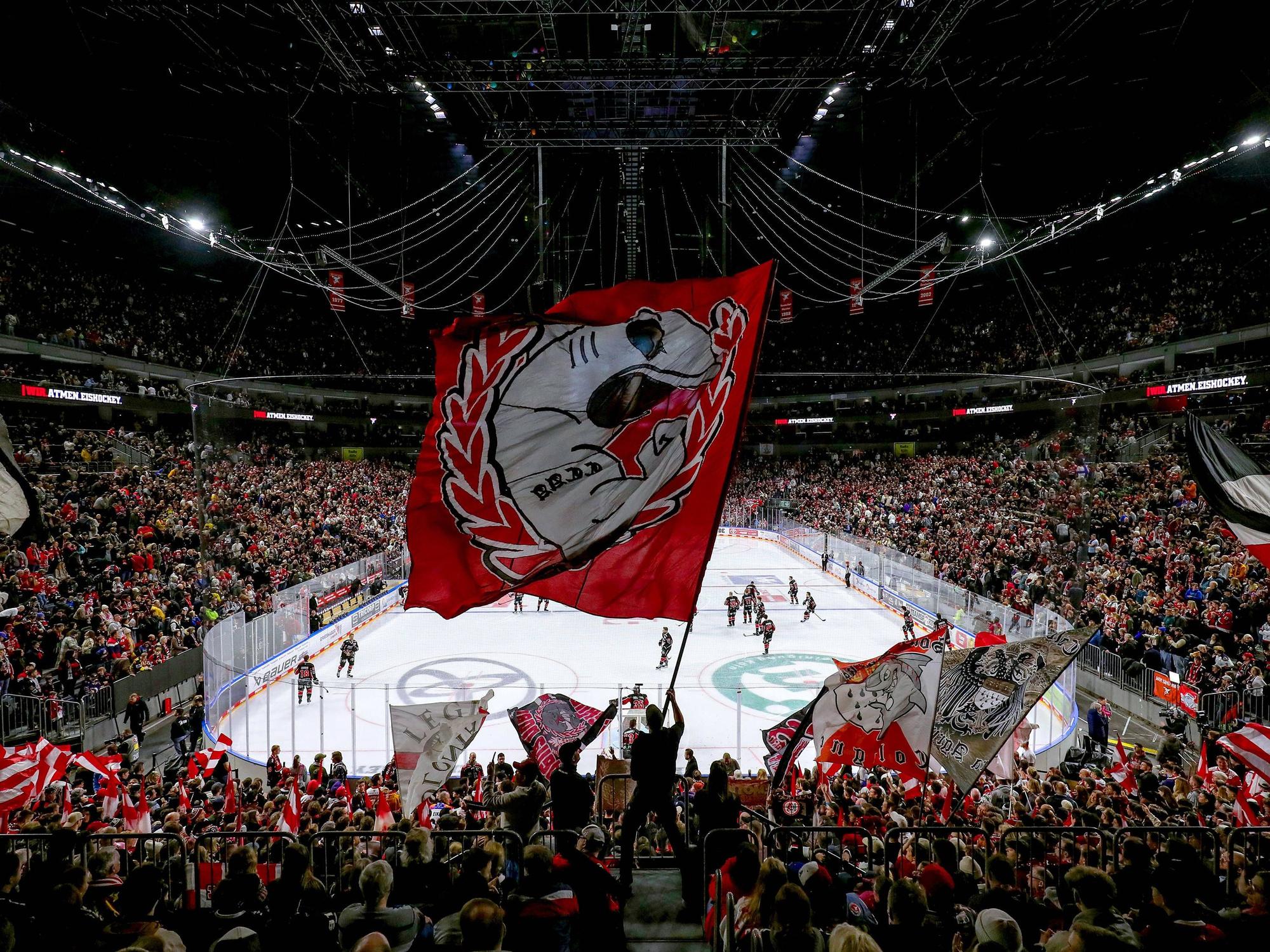 Die Fans der Kölner Haie schwenken Fahnen.