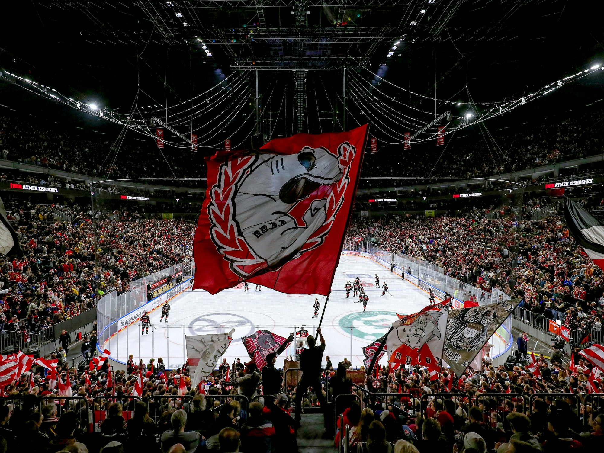 Die Fans der Kölner Haie schwenken Fahnen.