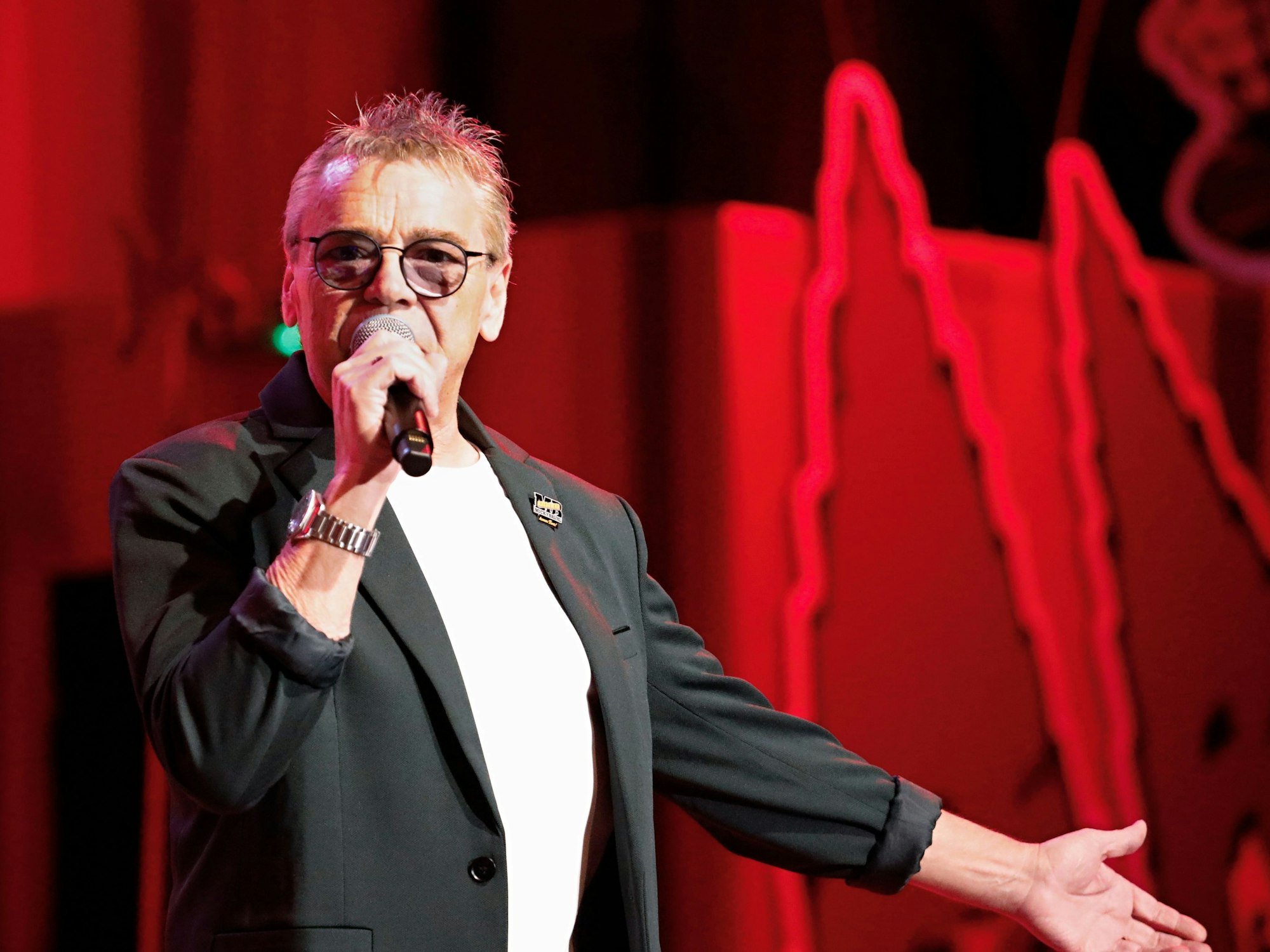 Micky Brühl singt auf der Bühne.