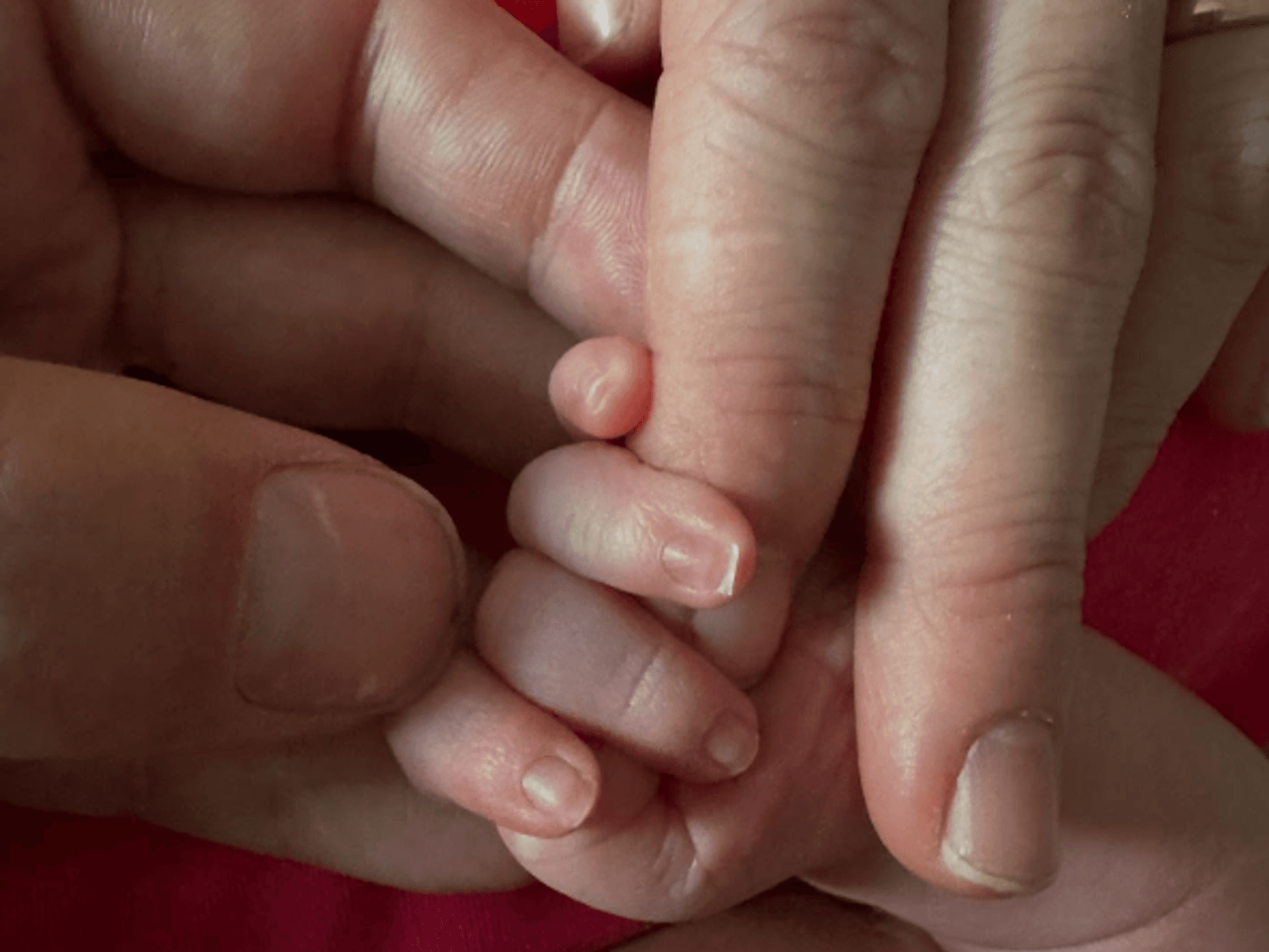 Eine Baby-Hand zwischen Fingern von Erwachsenen.