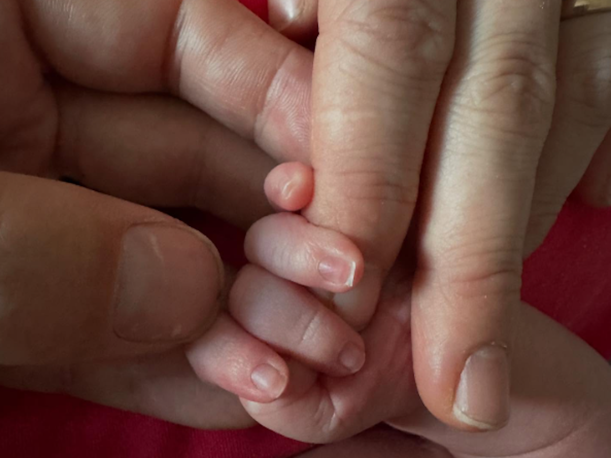 Eine Baby-Hand zwischen Fingern von Erwachsenen.