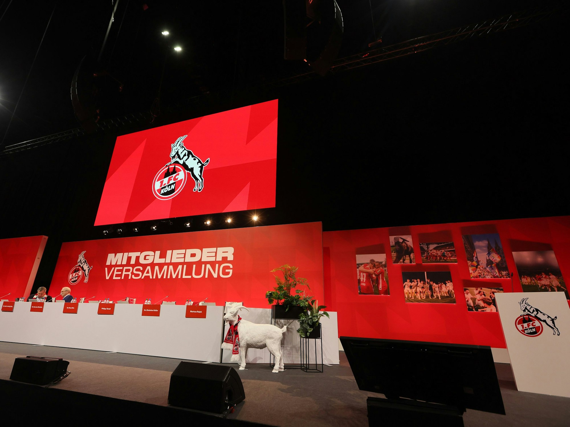 1. FC Köln, Mitgliederversammlung in der Arena.