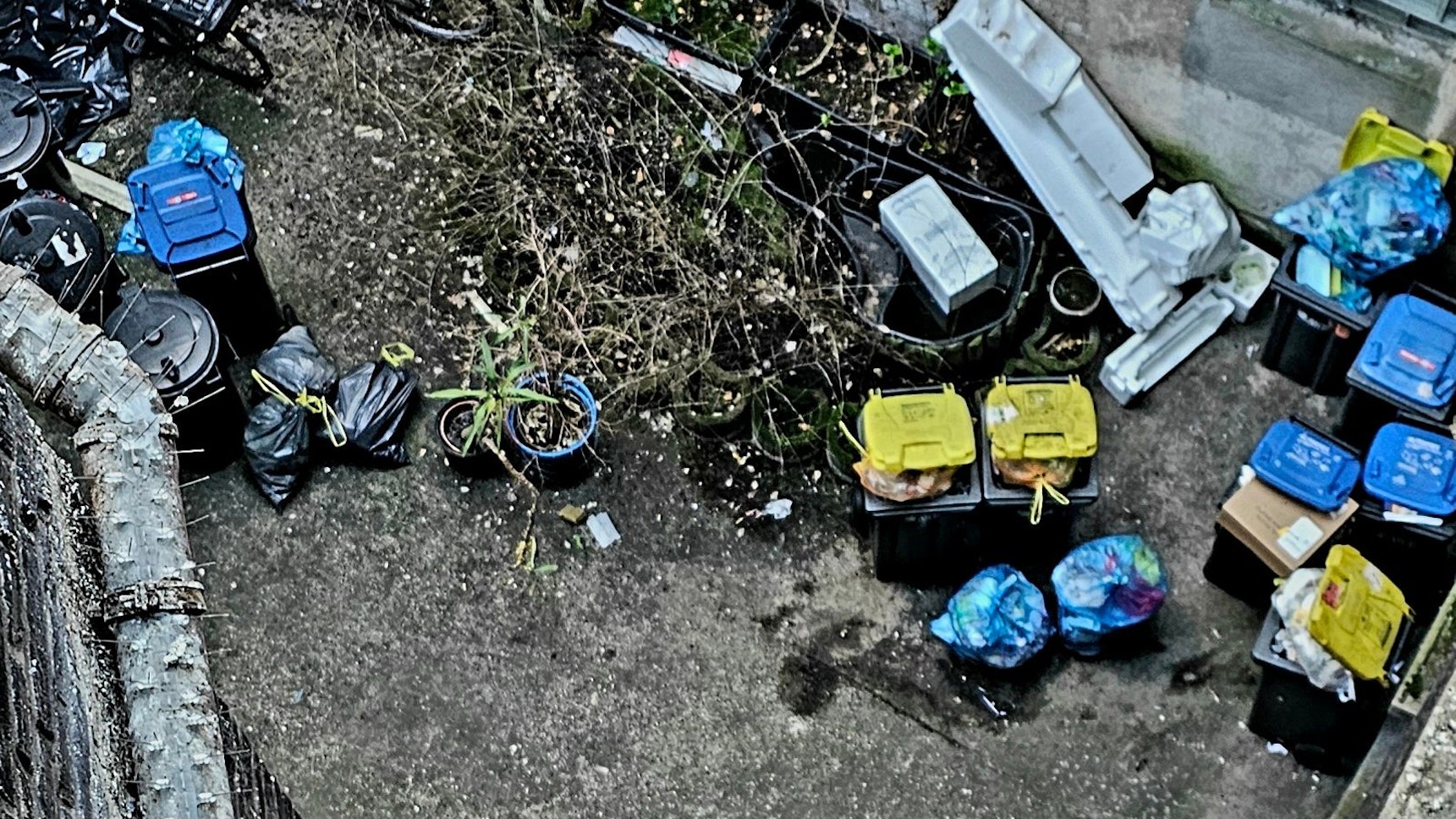 In einem Hinterhof in Köln-Mülheim stapelt sich der Müll.