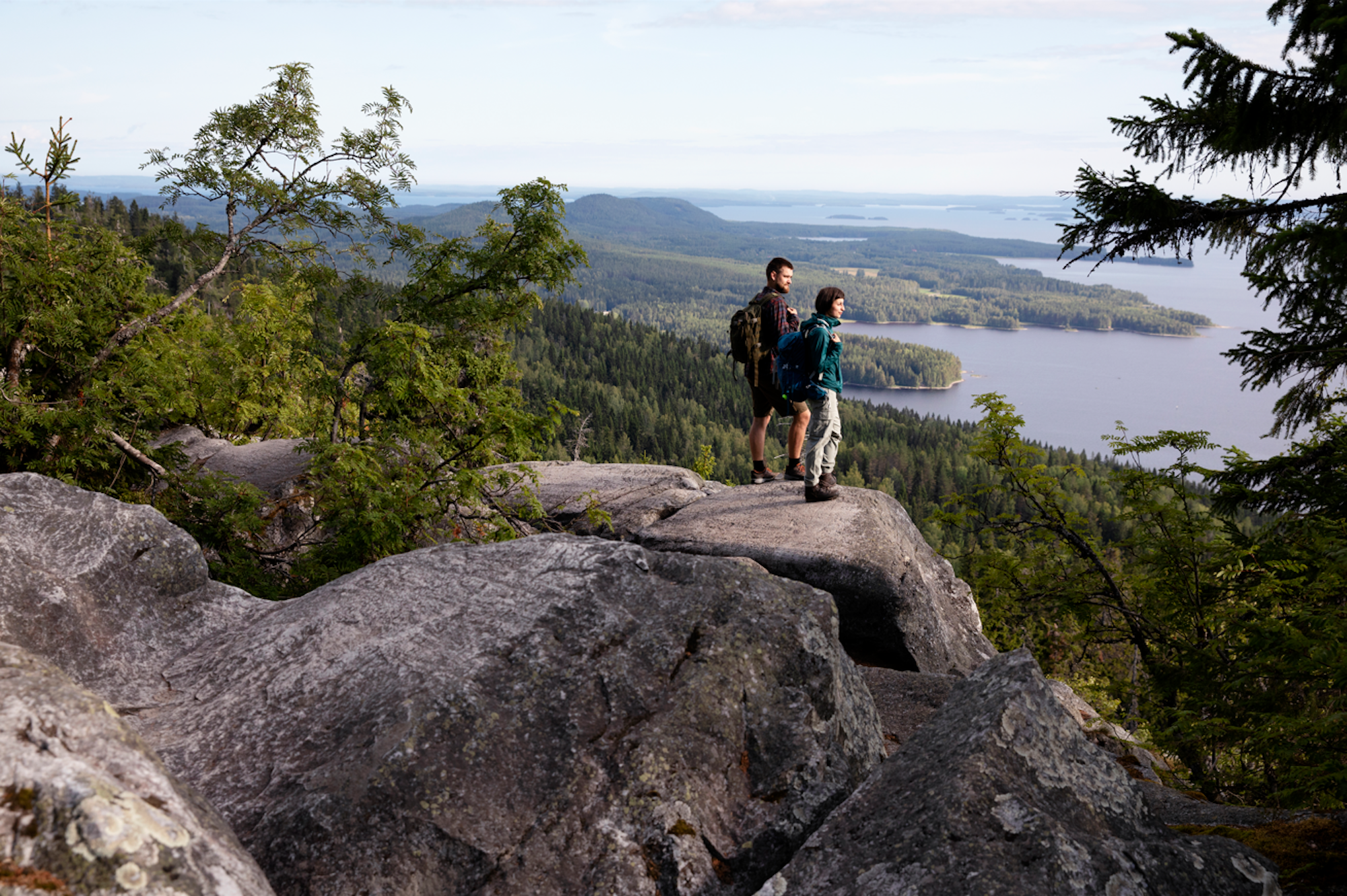 Freuen Sie sich im Koli Nationalpark auf eine beeindruckende Wanderung durch Wälder, Hügellandschaften und entlang klarer Seen.