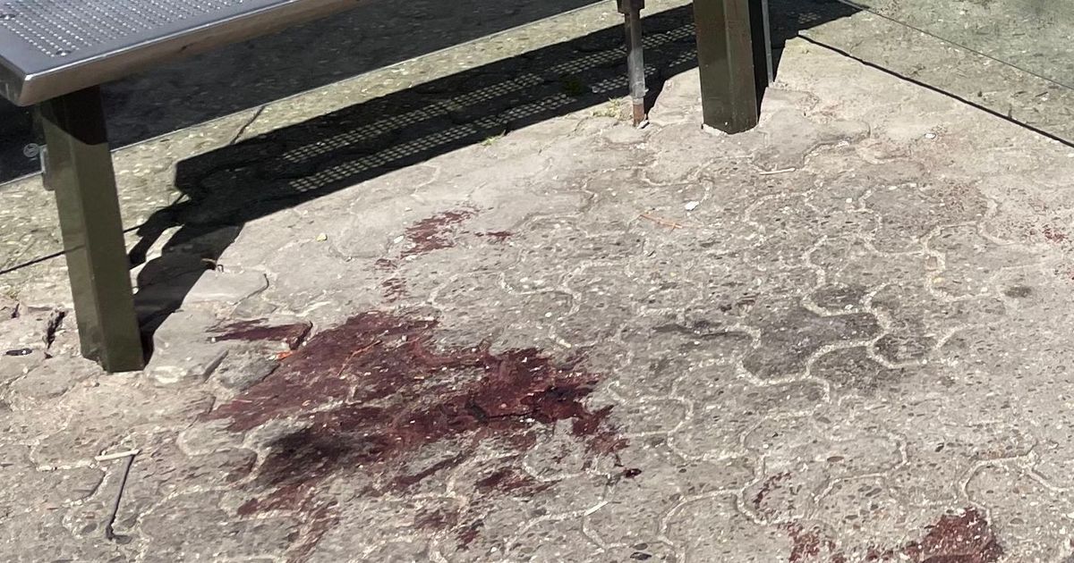 Cologne Bus Stop Blood Laughter Shock - News Directory 3