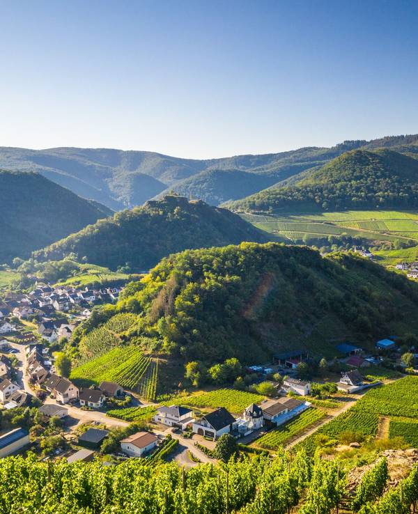 Genusswandern im Ahrta: Mayschoß mit Saffenburg
