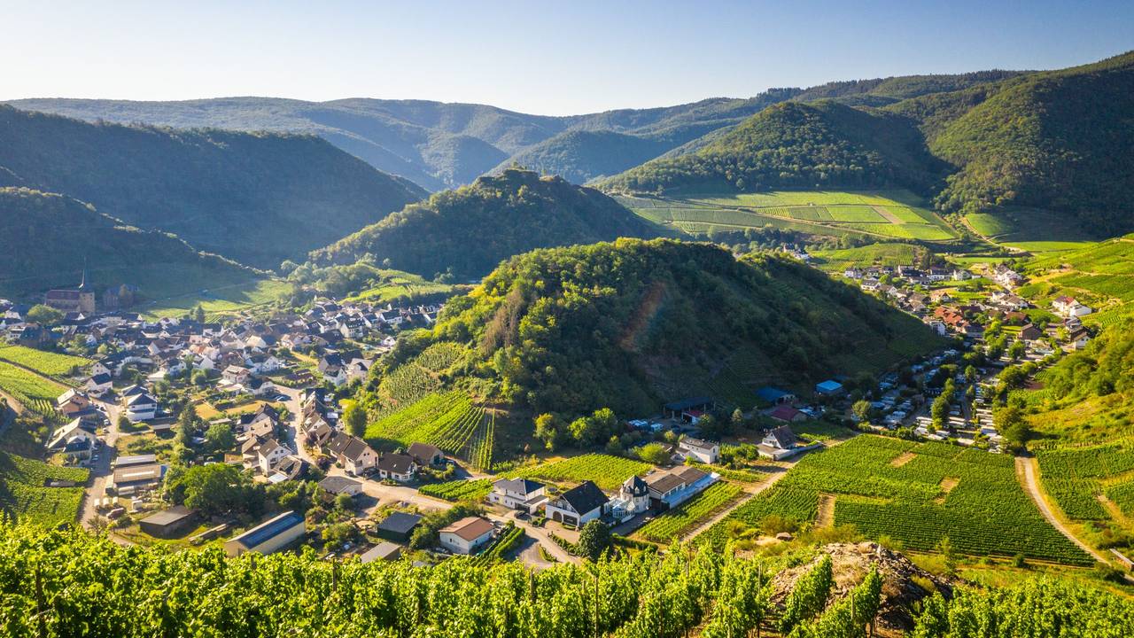 Genusswandern im Ahrta: Mayschoß mit Saffenburg