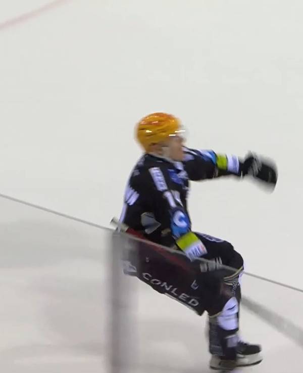 Ross Mauermann imitiert eine Schwalbe.