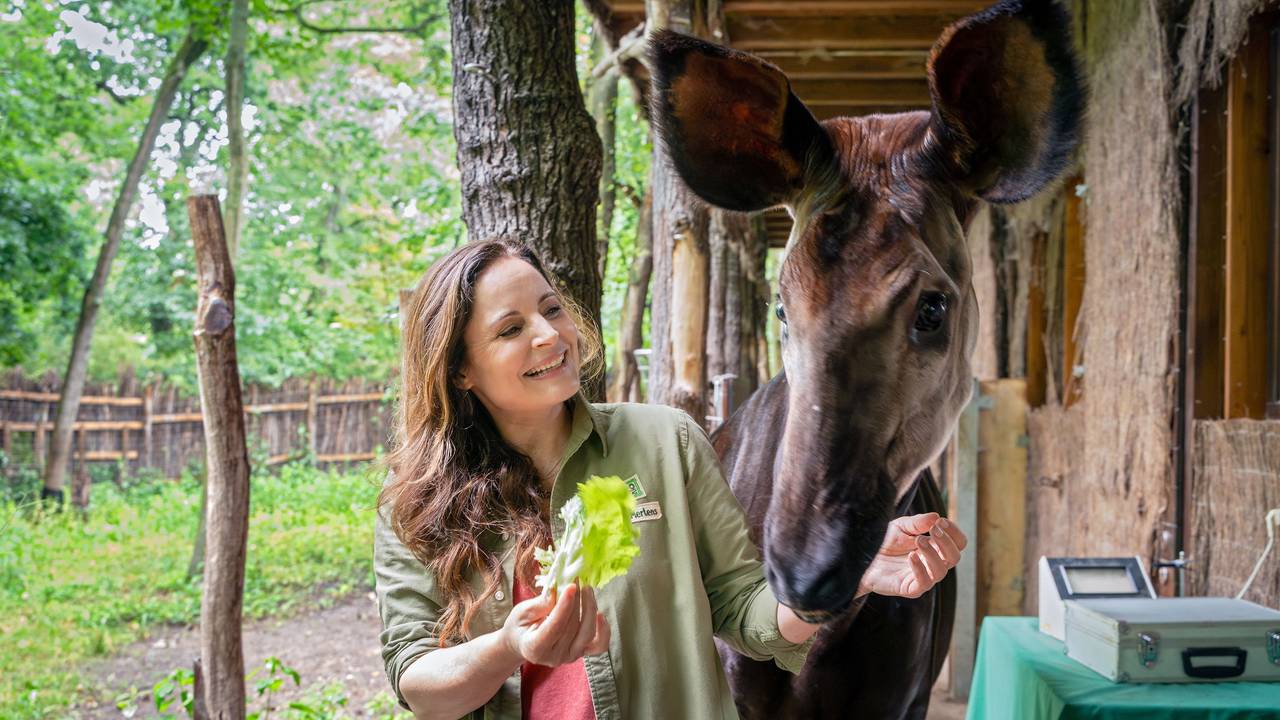 „Tierärztin Dr. Mertens“ mit Elisabeth Lanz und Neuzugang Tobias Licht