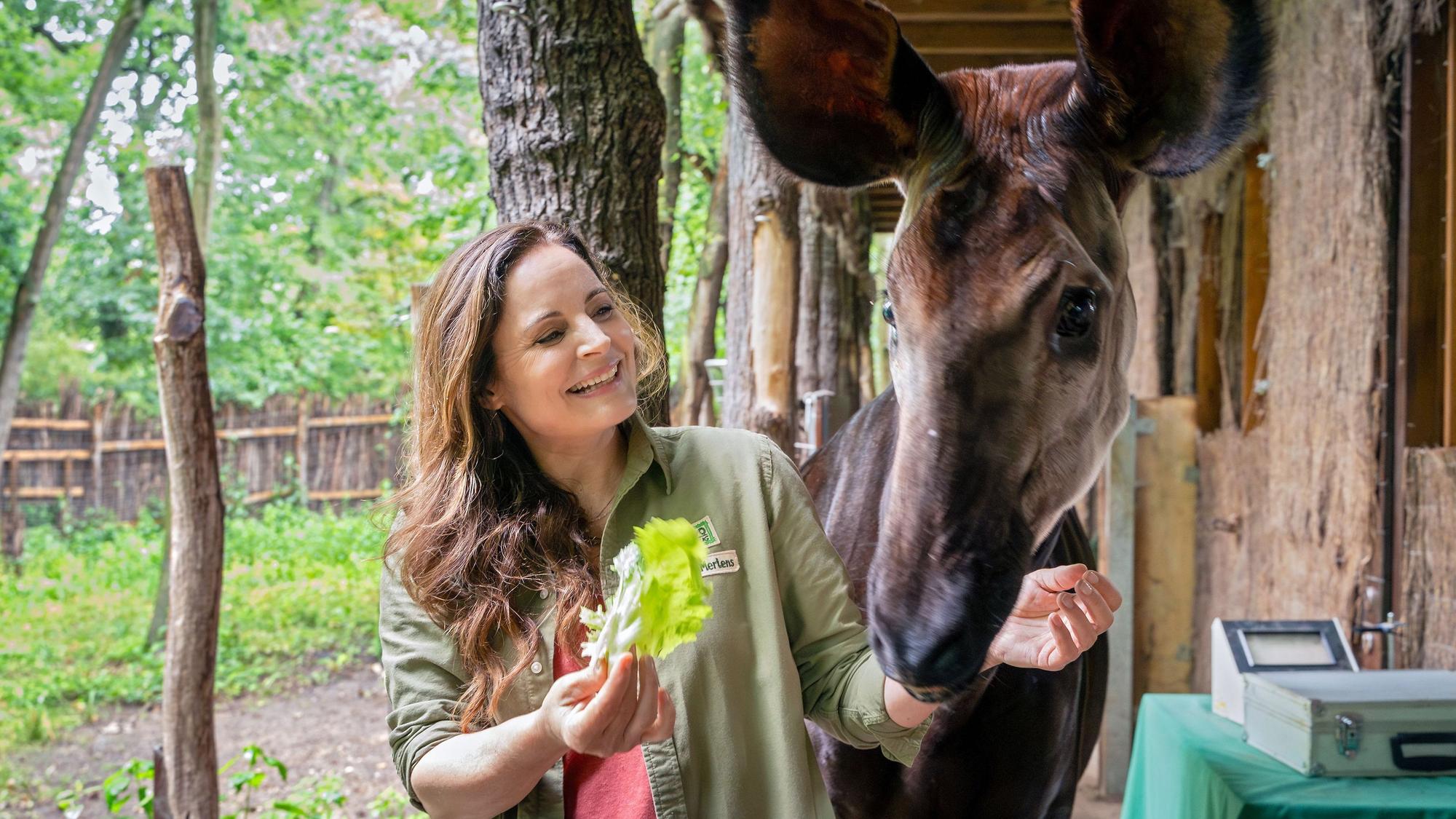 „Tierärztin Dr. Mertens“ mit Elisabeth Lanz und Neuzugang Tobias Licht