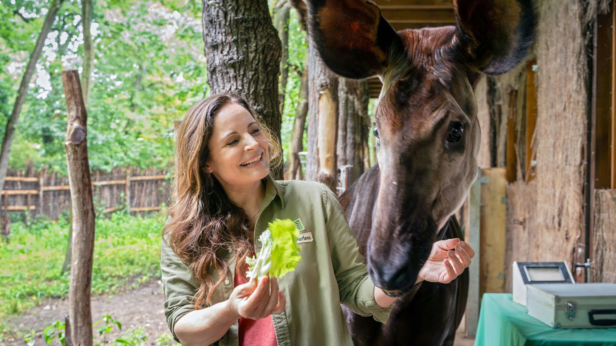 „Tierärztin Dr. Mertens“ mit Elisabeth Lanz und Neuzugang Tobias Licht