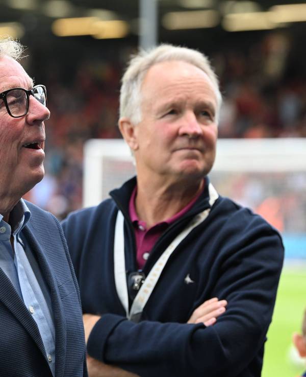 Harry Redknapp blickt am Rande eines Spiels Richtung Tribüne.