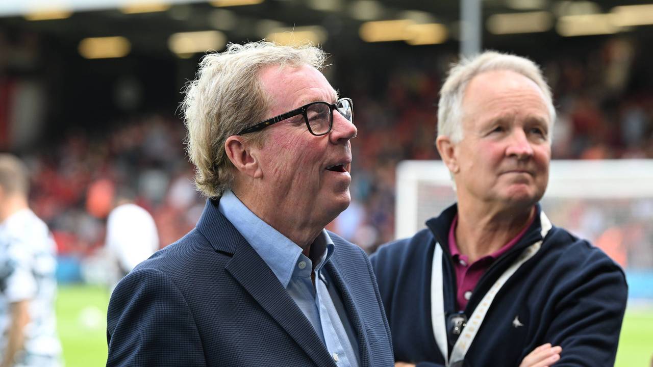 Harry Redknapp blickt am Rande eines Spiels Richtung Tribüne.