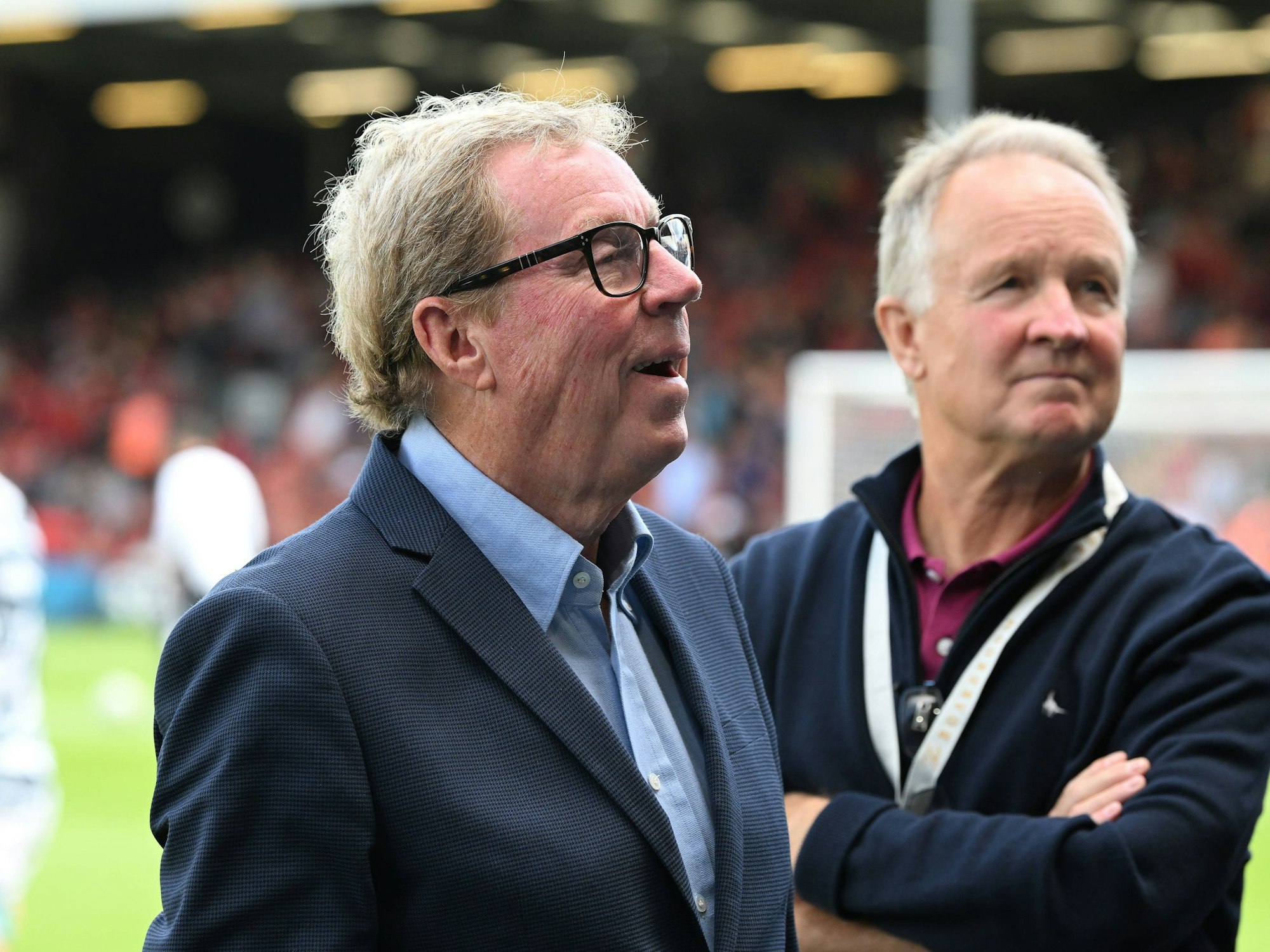 Harry Redknapp blickt am Rande eines Spiels Richtung Tribüne.