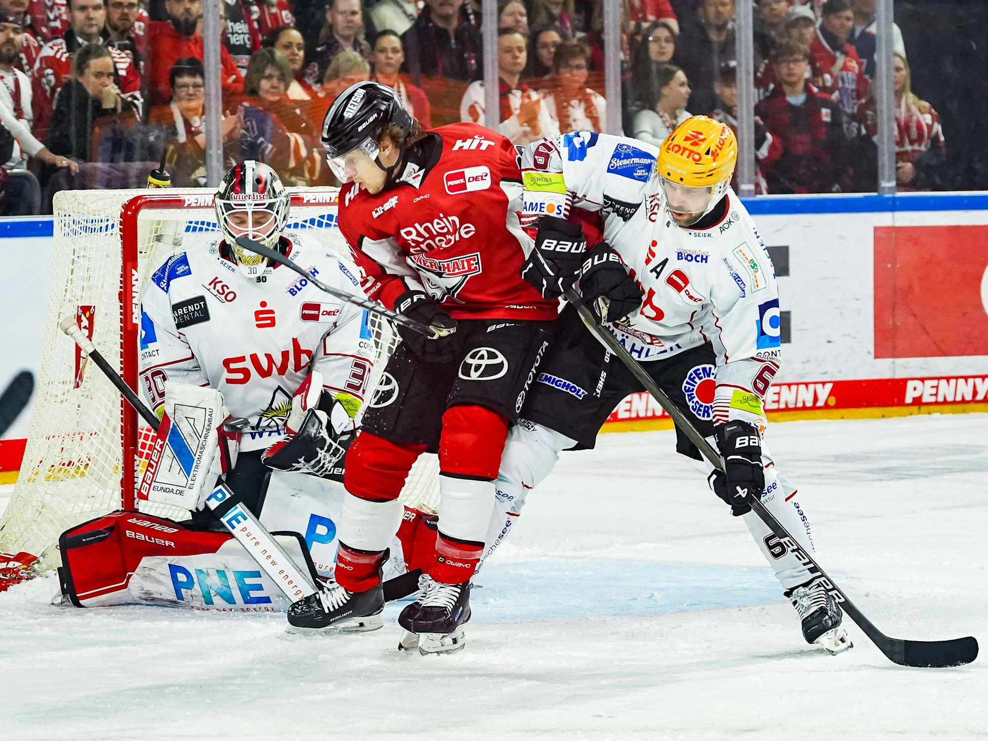 Tim Wohlgemuth von den Kölnern Haien im Duell mit seinem Bremerhavener Gegenspieler.