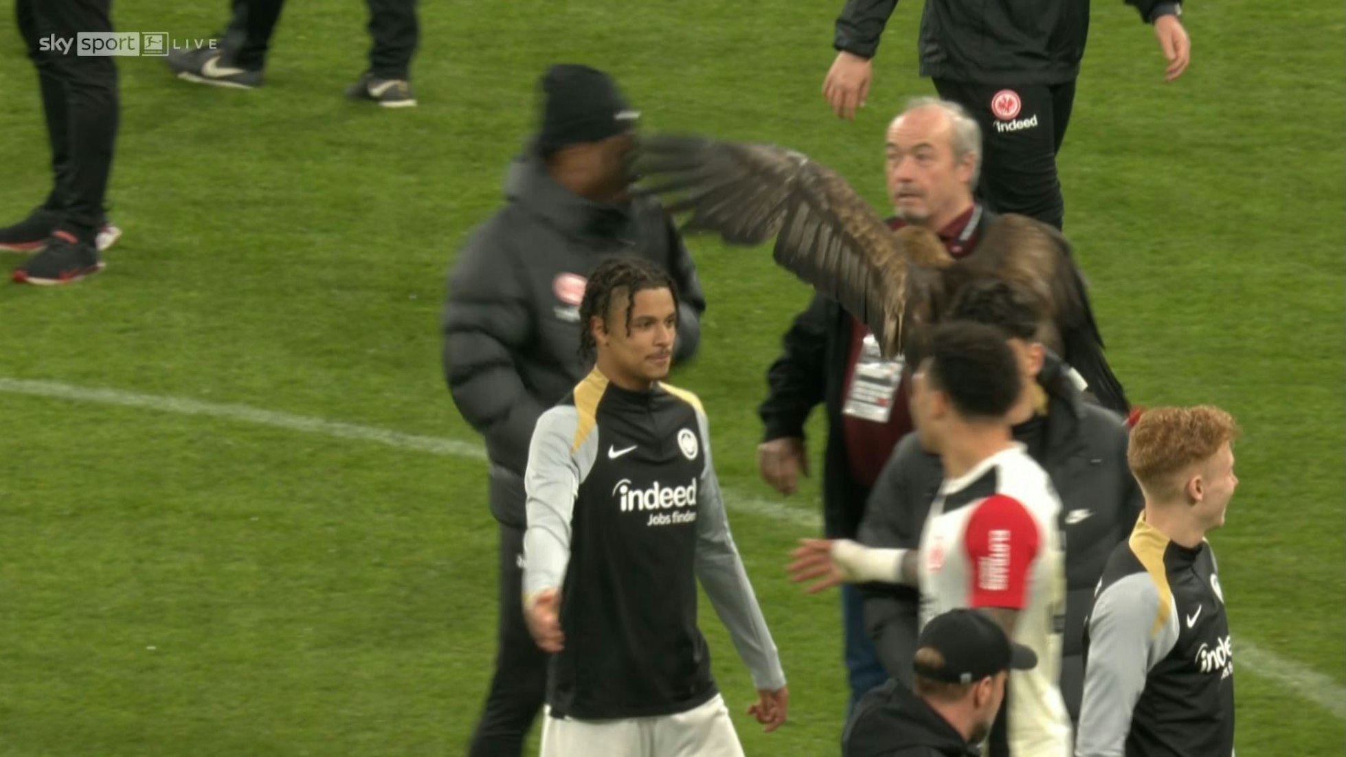 Frankfurt-Maskottchen Attila trifft Michy Batshuayi mit dem Flügel im Gesicht.