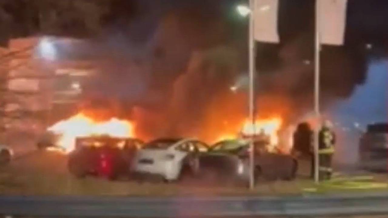 Angriff auf Tesla-Fahrzeuge in Norddeutschland.