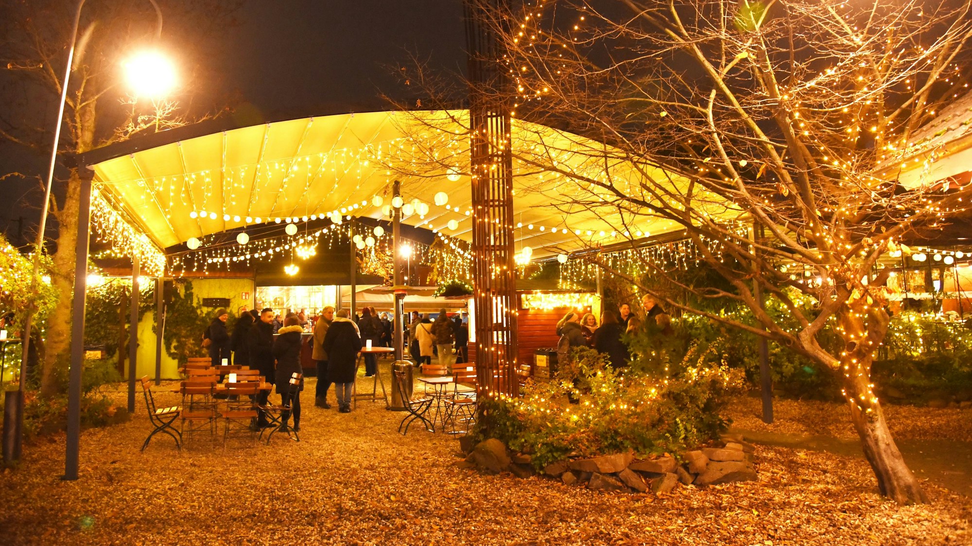 Blick auf den Außenbereich des Herbrand's