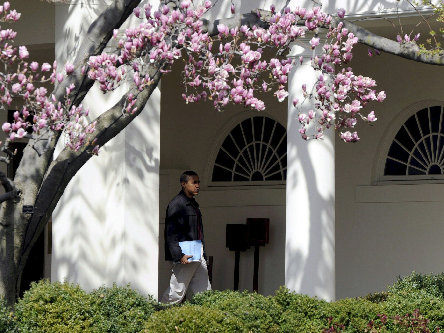 Barack Obama wandelte einst durch die Colonaden des Weißen Hauses an der historischen Magnolie vorbei. Nun soll der Baum aus Sicherheitsgründen gefällt werden. Das Foto stammt aus dem Jahr 2009.