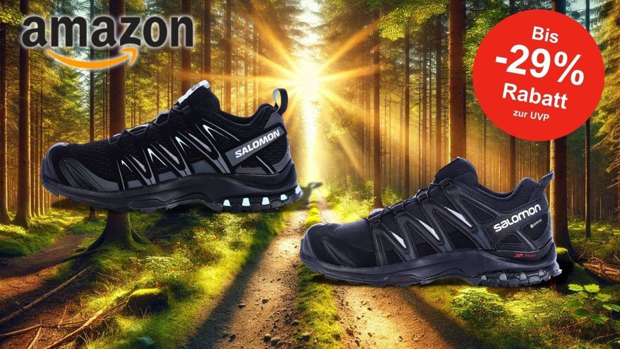 Eine Werbegrafik mit Salomon XA Pro 3D Gore-Tex Traillaufschuh für Damen und Herren vor einem sonnendurchfluteten Waldweg.
