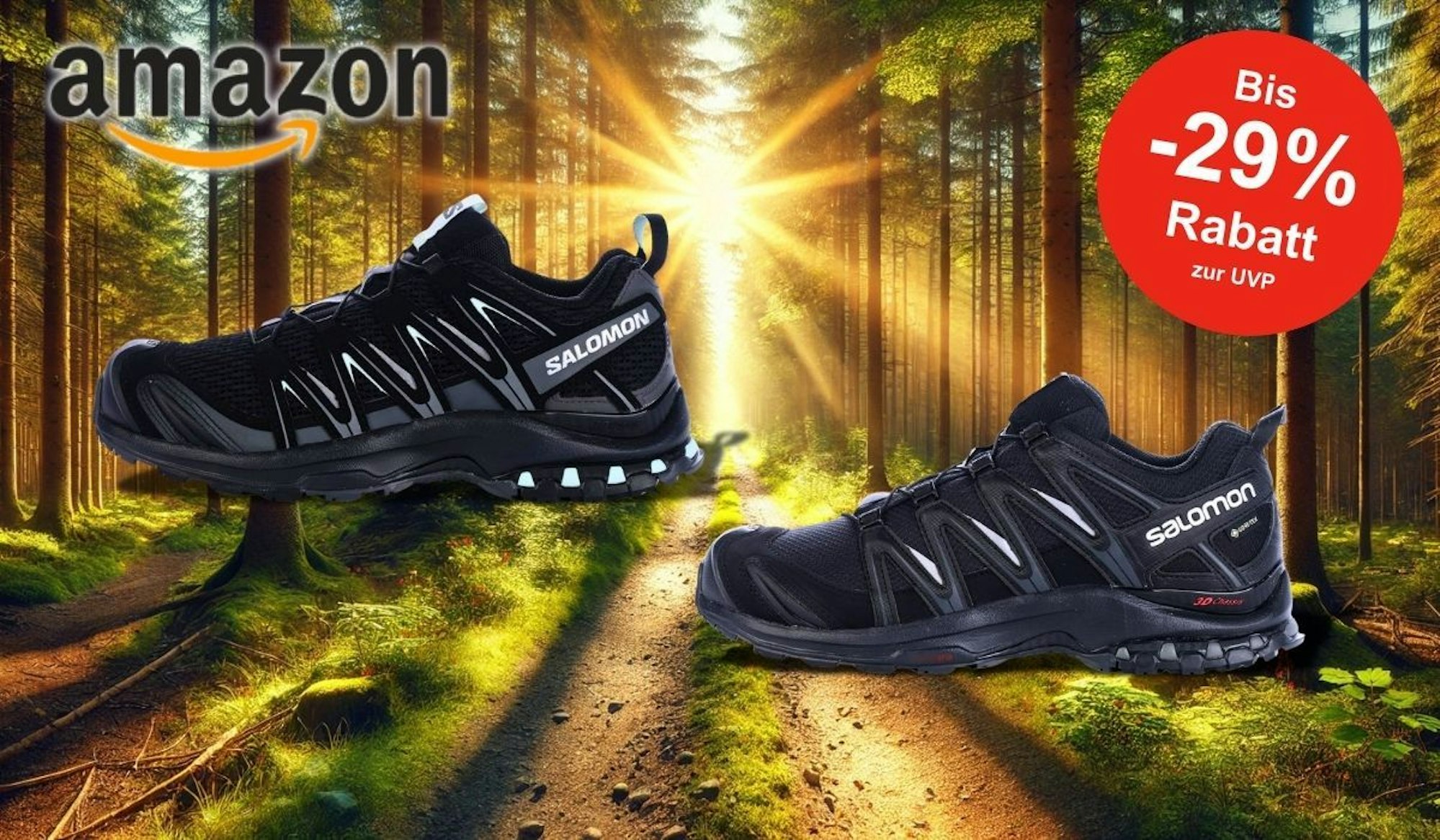 Eine Werbegrafik mit Salomon XA Pro 3D Gore-Tex Traillaufschuh für Damen und Herren vor einem sonnendurchfluteten Waldweg.