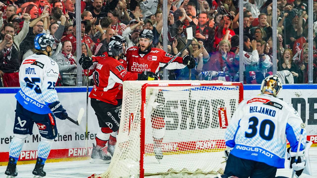 Die Profis der Kölner Haie jubeln.