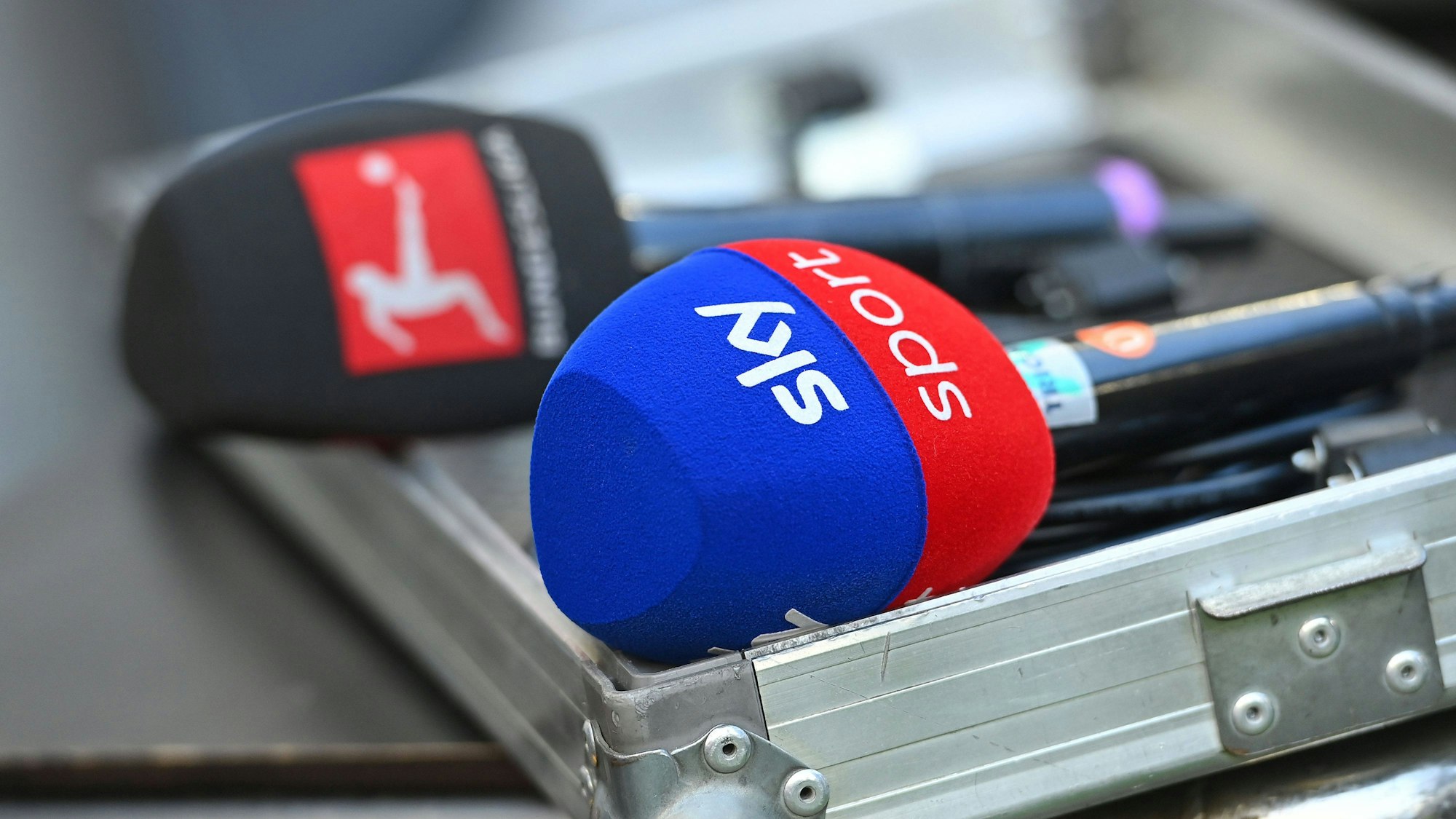 Auf dem Foto ist ein Sky-Mikrofon zu sehen.