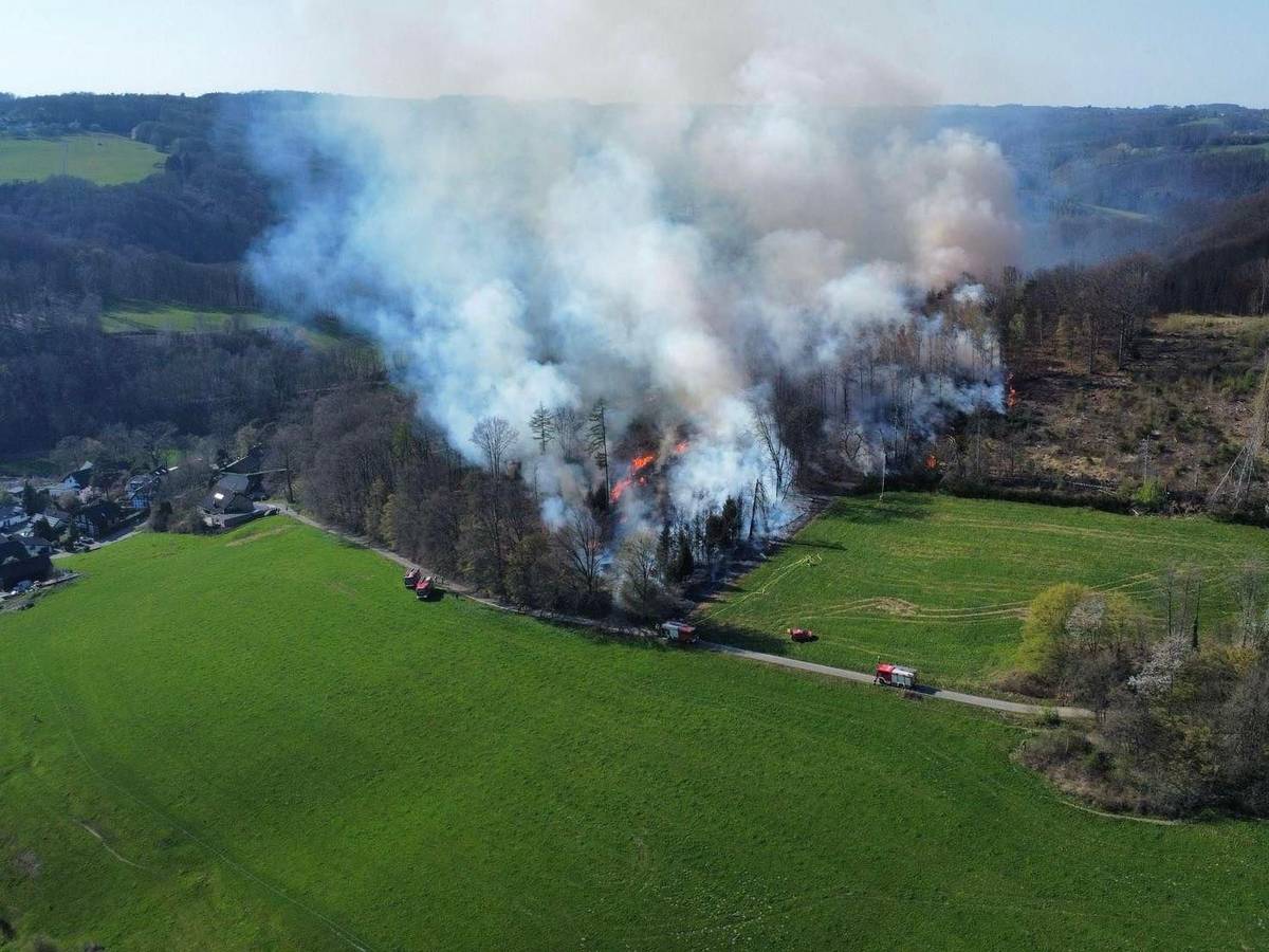 Das Foto der Freiwilligen Feuerwehr Overath zeigt die Dimensionen des Waldbrandes, der am Freitag (4. April 2025) mithilfe der Kölner Feuerwehr gelöscht werden konnte.