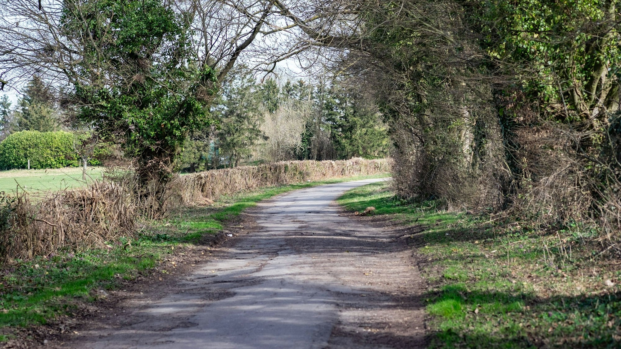 Eine Jugendliche ist schwer verletzt auf einem Feldweg im hessischen Wetzlar gefunden worden und später gestorben (Symbolbild).