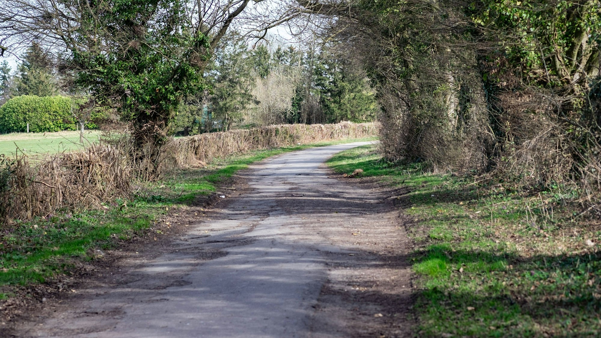 Ein Feldweg in NRW (Symbolfoto)