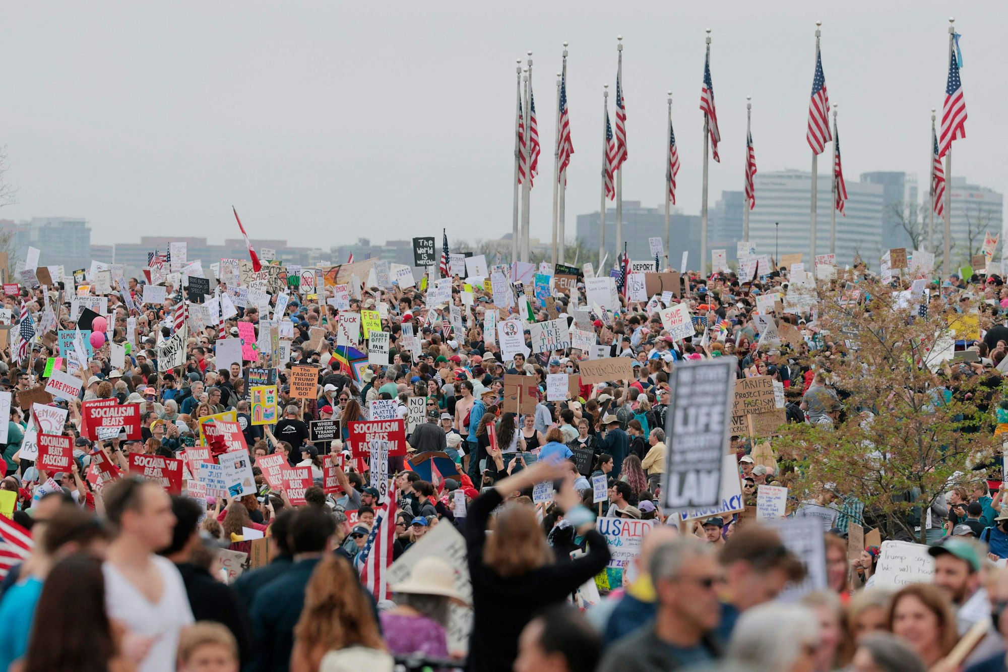 In der Hauptstadt Washington zogen am 5. April tausende Menschen unter dem Motto „Finger weg!“ zur in der Nähe des Weißen Hauses gelegenen Parkanlage National Mall, um ihren Unmut über den Republikaner und dessen Berater Elon Musk kundzutun.