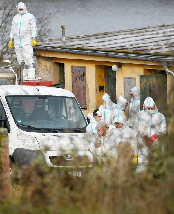 Einsatz gegen Vogelgrippe am 19. November 2024 in Tschechien (Archivfoto). Jetzt wurde das Virus bei einem kleinen Mädchen in Mexiko festgestellt.