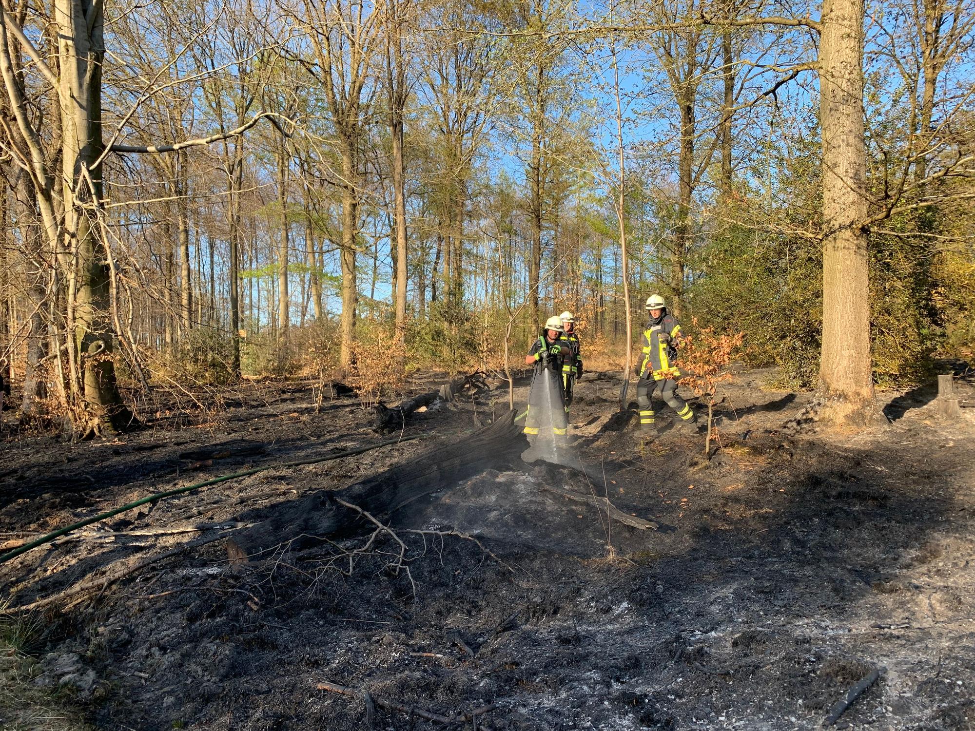 Am Montagnachmittag ist ein Feuer im Königsforst, östlich von Köln, ausgebrochen. Wie die Feuerwehr Köln auf Nachfrage mitteilt, ist eine Fläche von rund 2000 Quadratmetern betroffen.