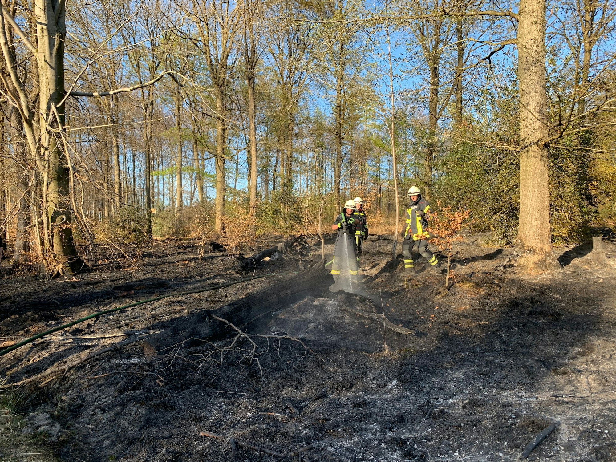 Am Montagnachmittag ist ein Feuer im Königsforst, östlich von Köln, ausgebrochen. Wie die Feuerwehr Köln auf Nachfrage mitteilt, ist eine Fläche von rund 2000 Quadratmetern betroffen.