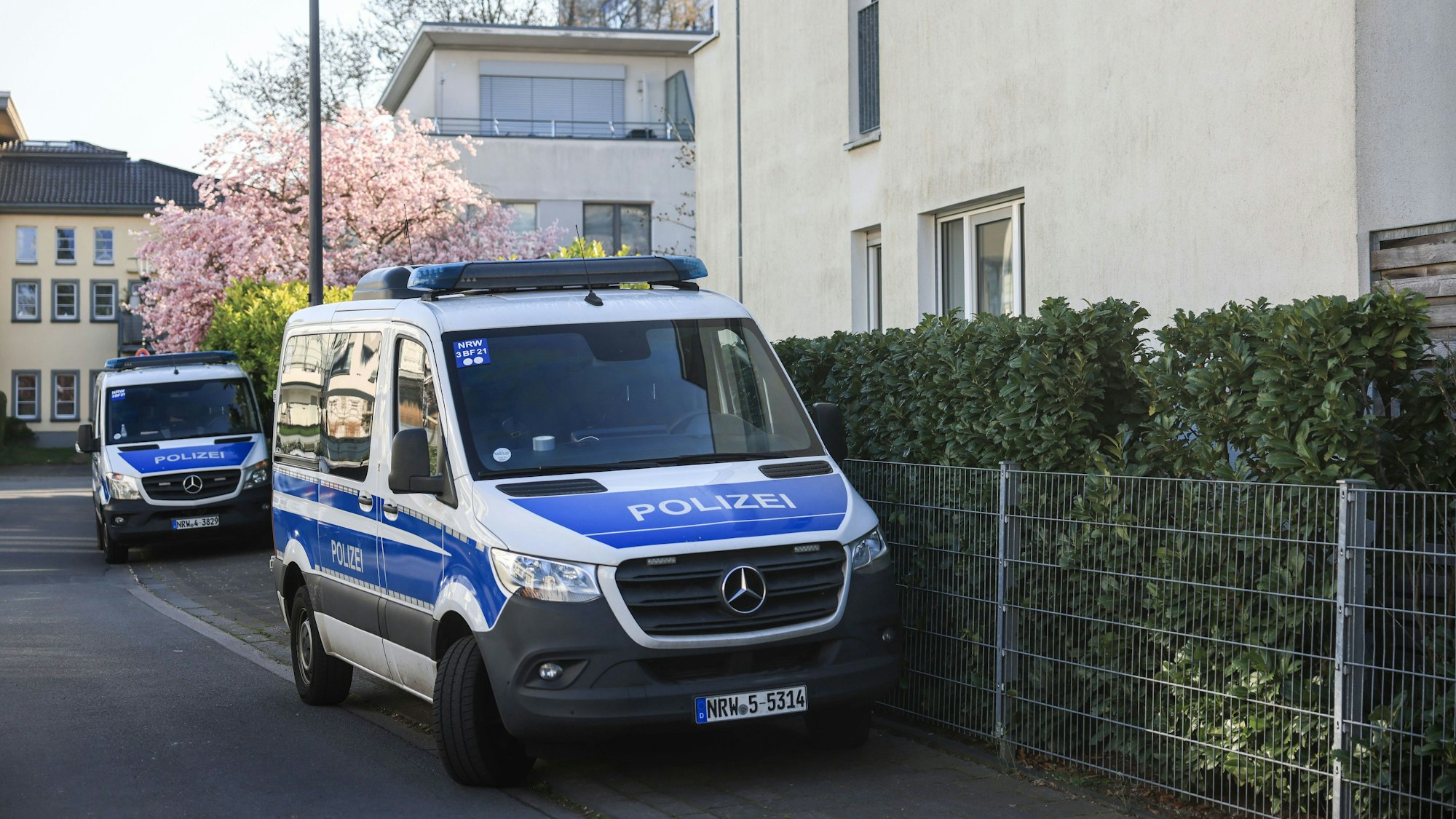 Polizeifahrzeuge stehen in einem Wohngebiet.