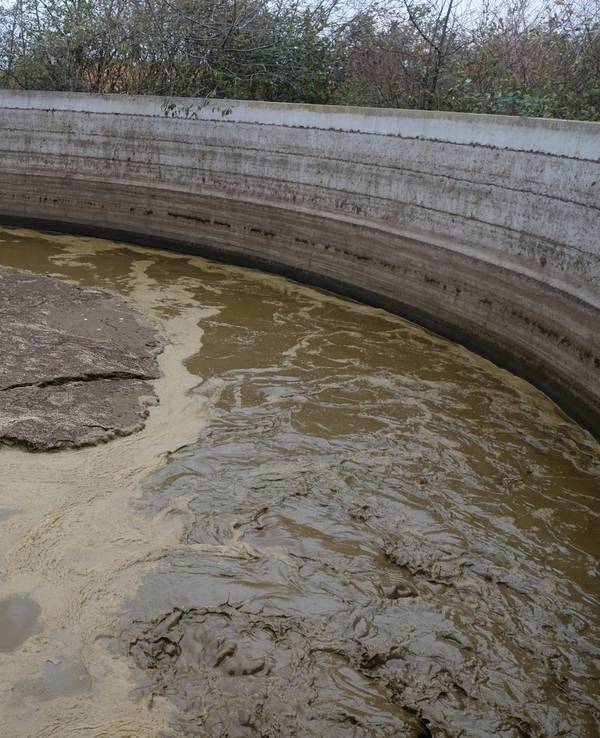 In einem solchen Becken wurden zwei Leichen entdeckt (Symbolbild).