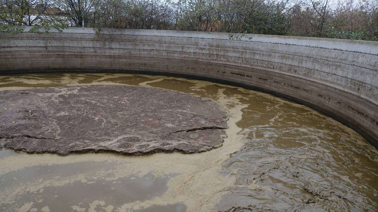 In einem solchen Becken wurden zwei Leichen entdeckt (Symbolbild).
