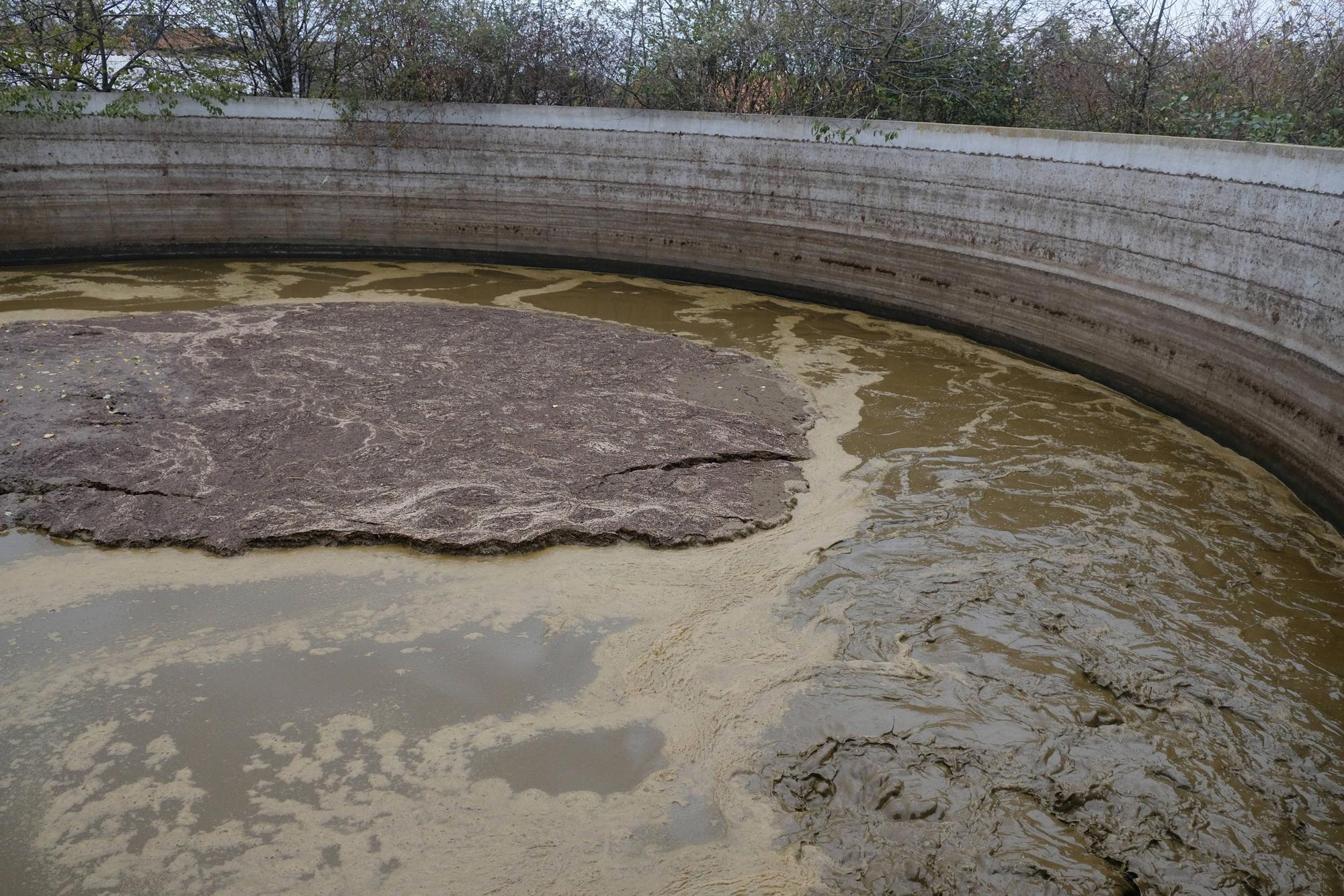 In einem solchen Becken wurden zwei Leichen entdeckt (Symbolbild).